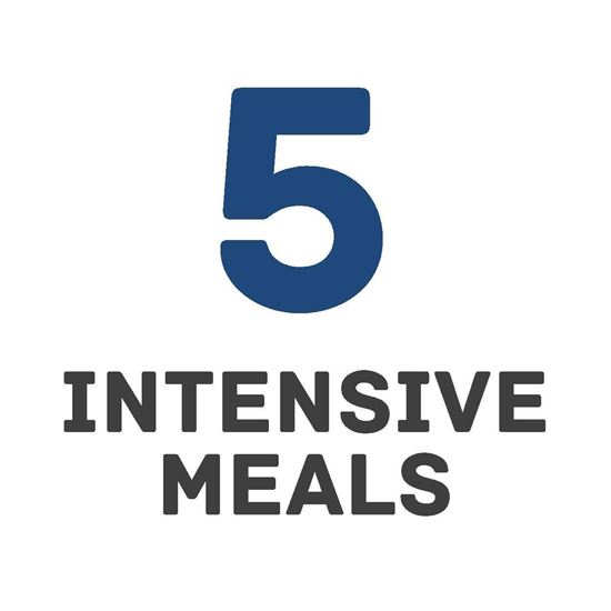 Picture of 5 Intensive Meal Plan (Summer 2022)