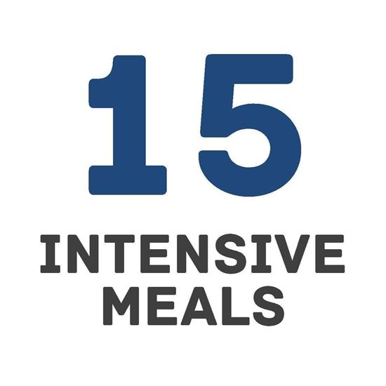Picture of 15 Intensive Meals (Summer 2022)